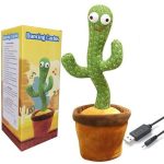 Dancing Talking Cactus